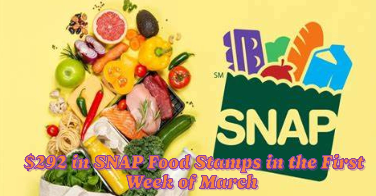 Who Will Receive $292 in SNAP Food Stamps in the First Week of March?